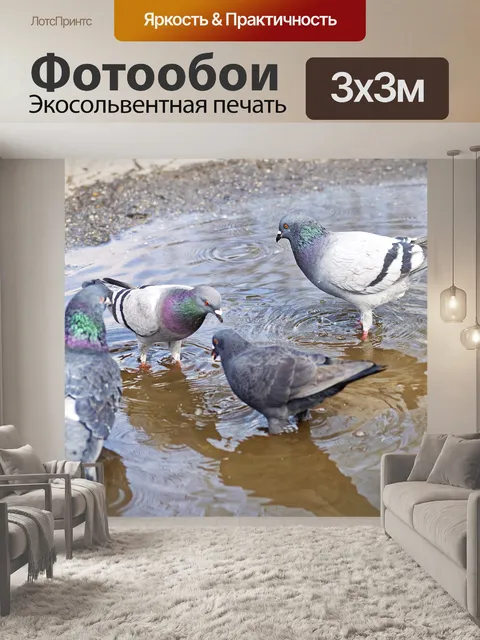 Фотообои Птицы