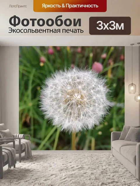 Фотообои Одуванчик