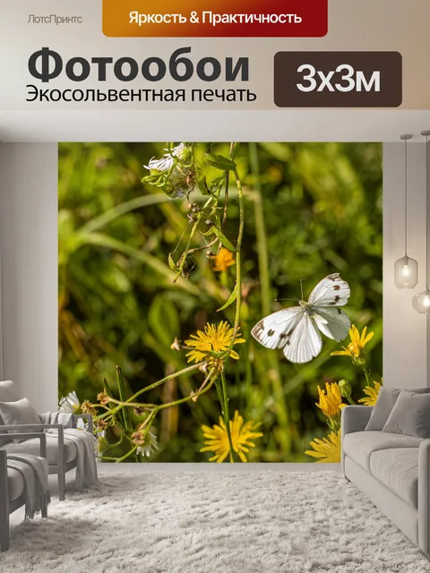 Фотообои Белый