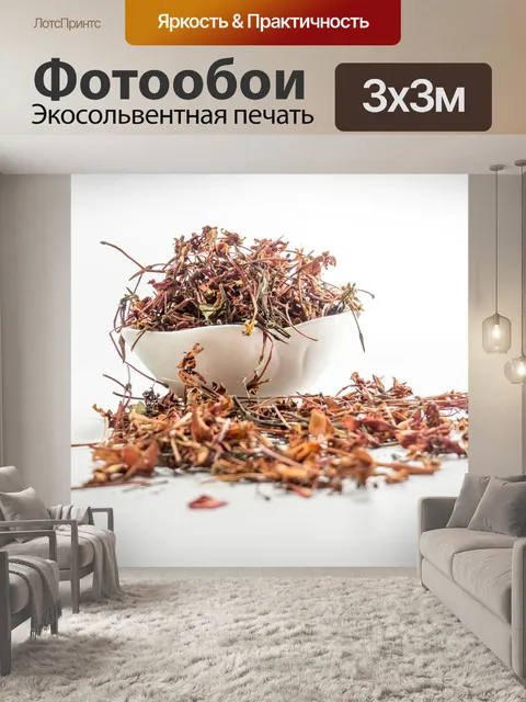 Фотообои Gernnium джунгли