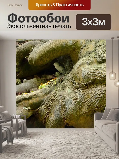 Фотообои Корень