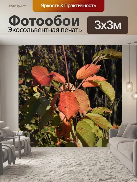 Фотообои Листья