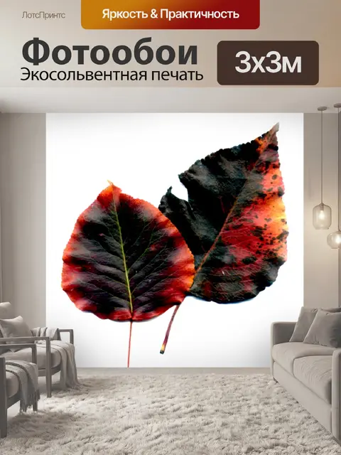 Фотообои Осенние листья