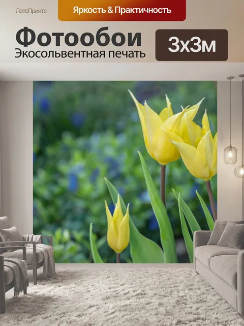 Фотообои Цветок