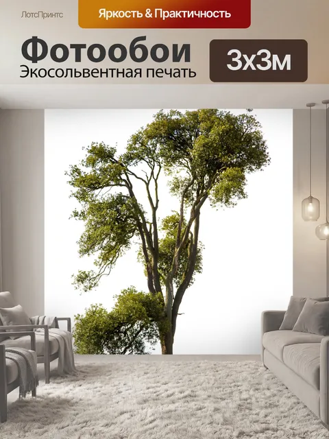 Фотообои Одинокое дерево