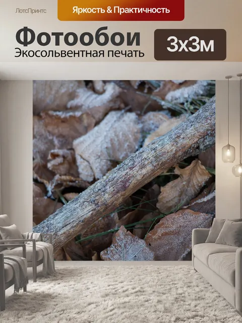 Фотообои Морозные листья