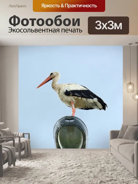 Фотообои Аист