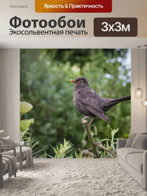 Фотообои Птица