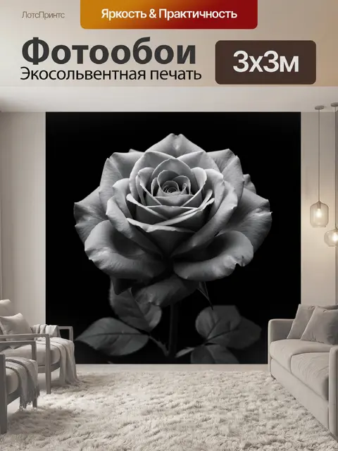 Фотообои Белая роза на черном фоне