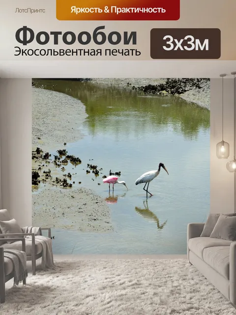 Фотообои Древесина Аист и Колпица