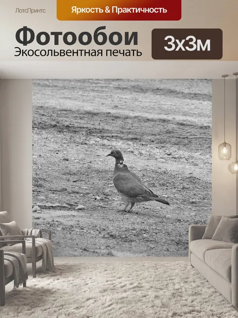Фотообои Лесной голубь