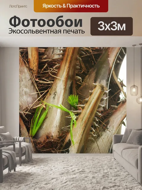 Фотообои Пальмовые листья