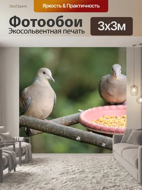 Фотообои Птица