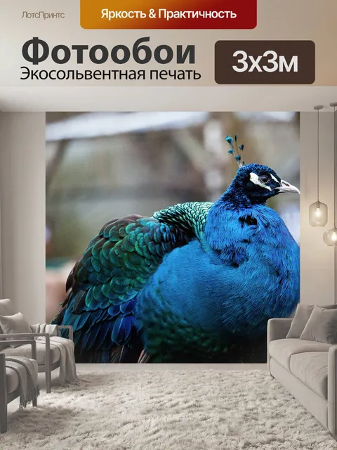 Фотообои Павлин