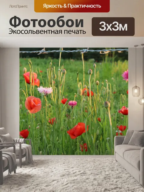 Фотообои Красочные Полевые цветы Красные маки