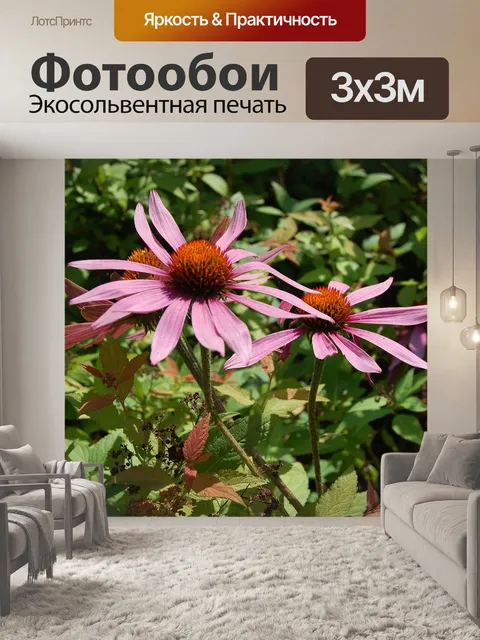 Фотообои Цветы