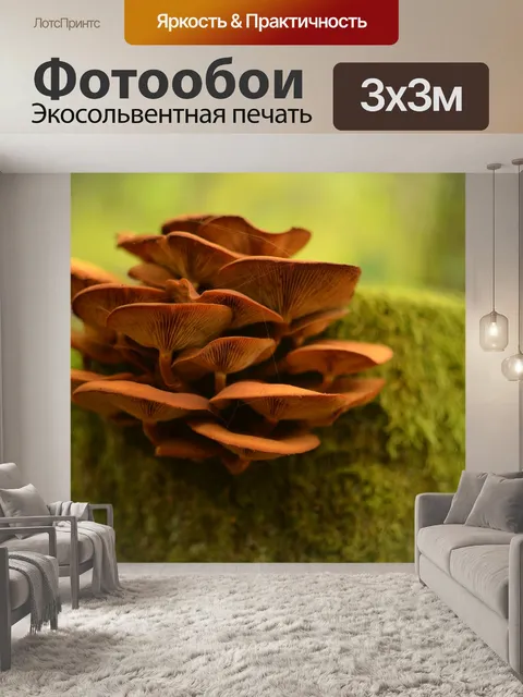 Фотообои Лес