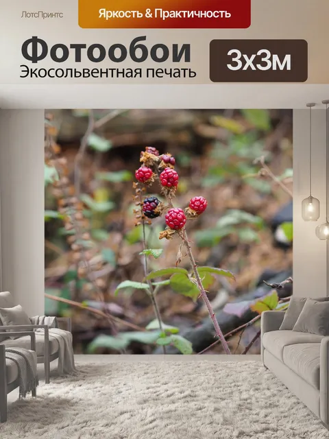 Фотообои Лесные ягоды