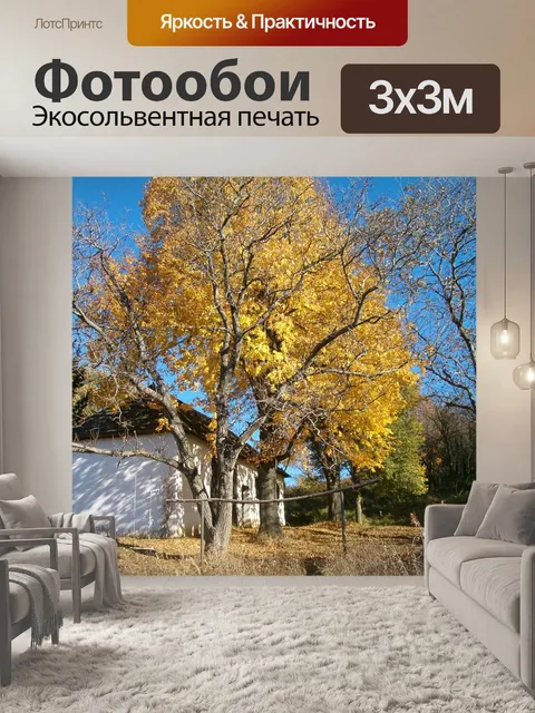 Фотообои Природа