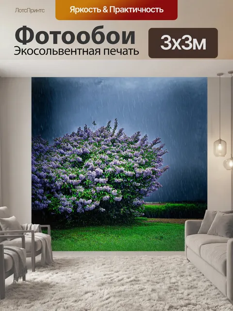 Фотообои кустарник сирени возвышается на фоне стального серого неба, его ветви склонились от дождя