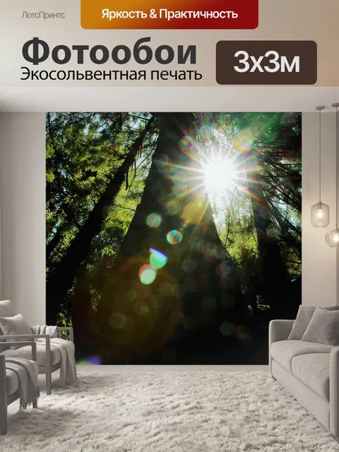 Фотообои Деревья
