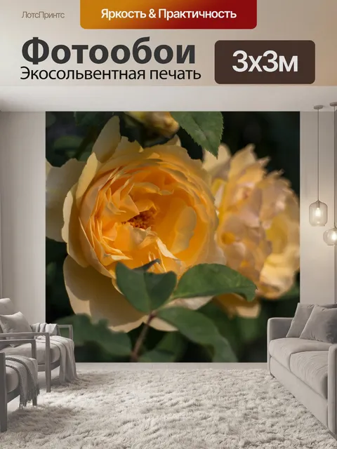 Фотообои Романтический