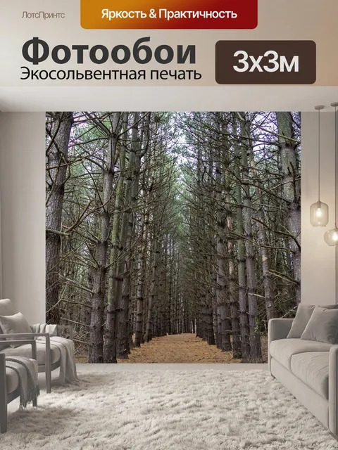 Фотообои Сосны