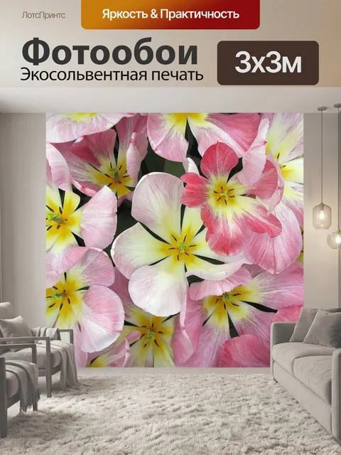 Фотообои Тюльпаны