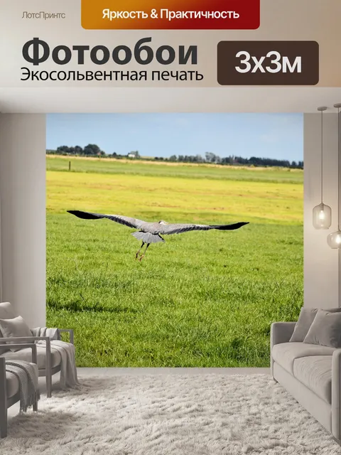 Фотообои Цапля