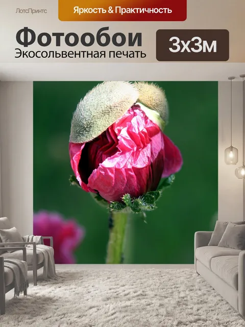 Фотообои Цветок