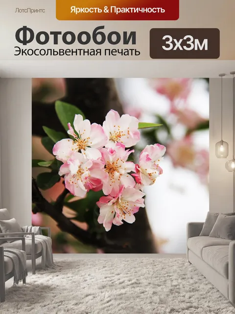 Фотообои Вишни в цвету