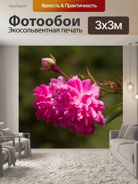 Фотообои Розы