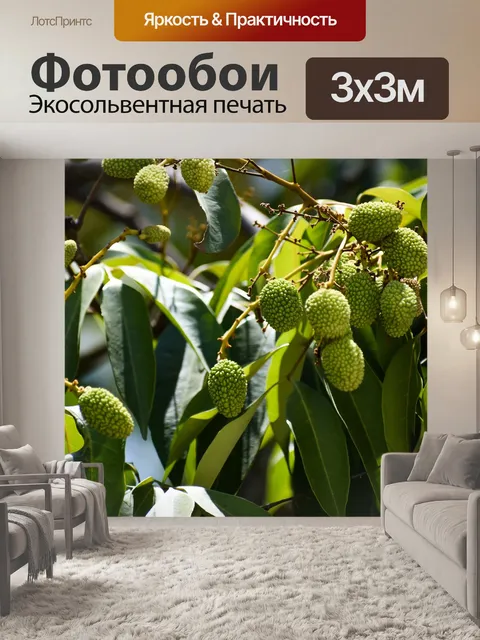Фотообои Личи