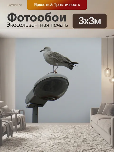 Фотообои Птица на фонарном столбе