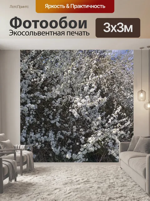 Фотообои Боярышник цветы кустарник природа