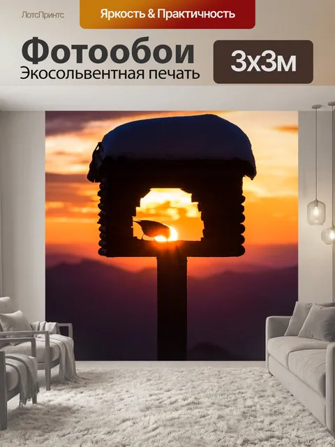 Фотообои Птица