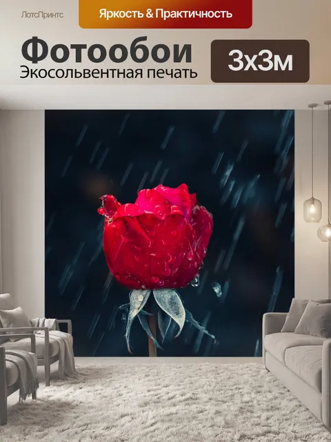 Фотообои Роза