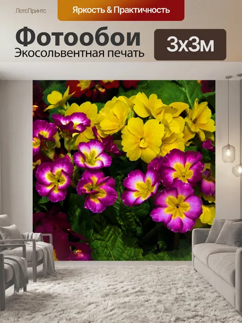 Фотообои Цветы первоцвета