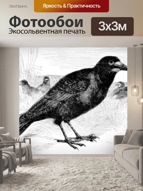 Фотообои Ладья