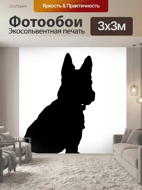 Фотообои Силуэт собаки
