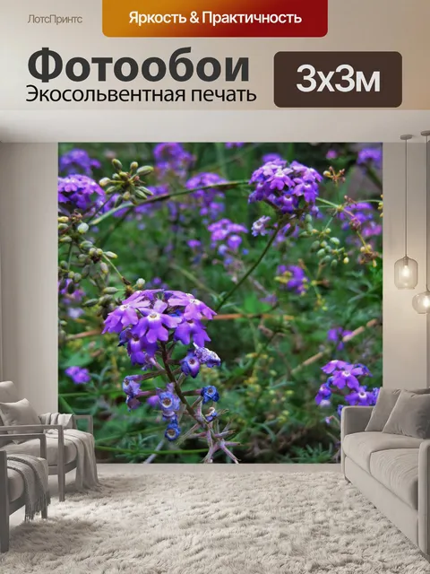 Фотообои фиолетовый вербена в саду