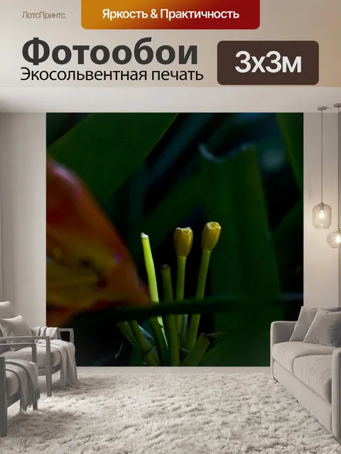 Фотообои Сад