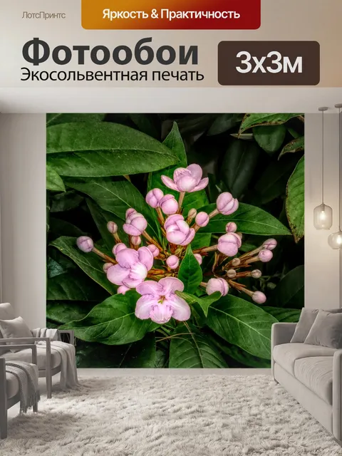 Фотообои Цветы