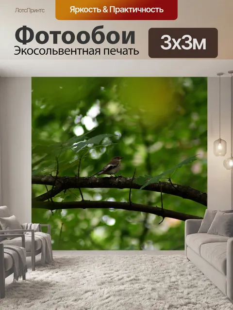 Фотообои Лес