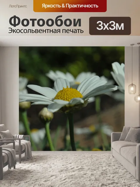 Фотообои Цветы