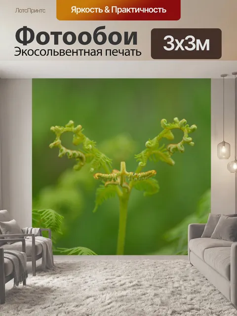 Фотообои Природа