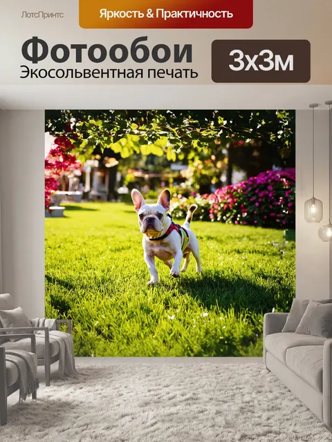 Фотообои герда, французский бульдог, играет в парке, прыгая через ярко-зеленую траву, а солнечные лучи проникают…