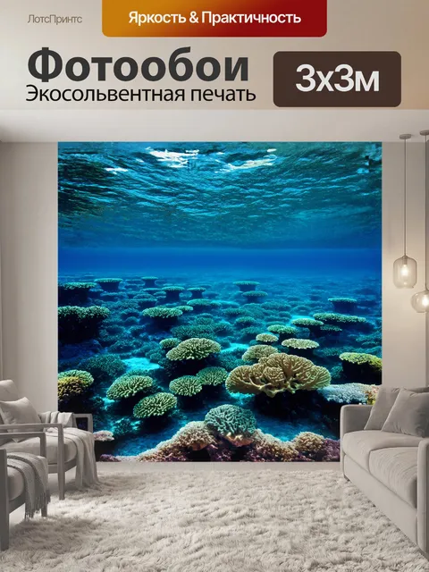 Фотообои огромный коралловый риф простирается на глубину прозрачной воды