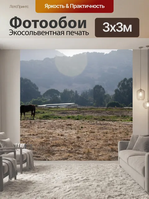 Фотообои Выпас лошадей