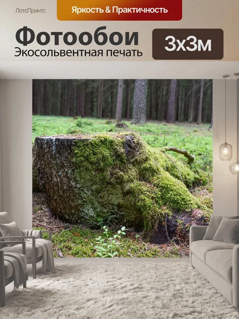Фотообои Пень
